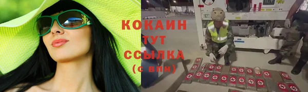 гашик Баксан